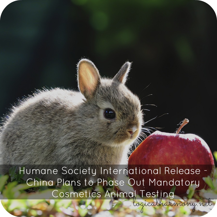 China Plans to Phase Out Mandatory Cosmetics Animal Testing