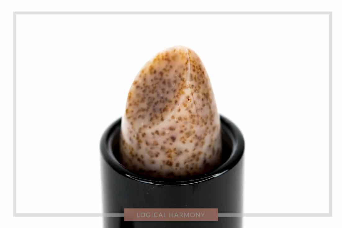 ELF Lip Exfoliator Review