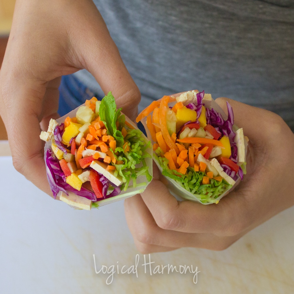 Fresh Spring Rolls with Peanut Sauce