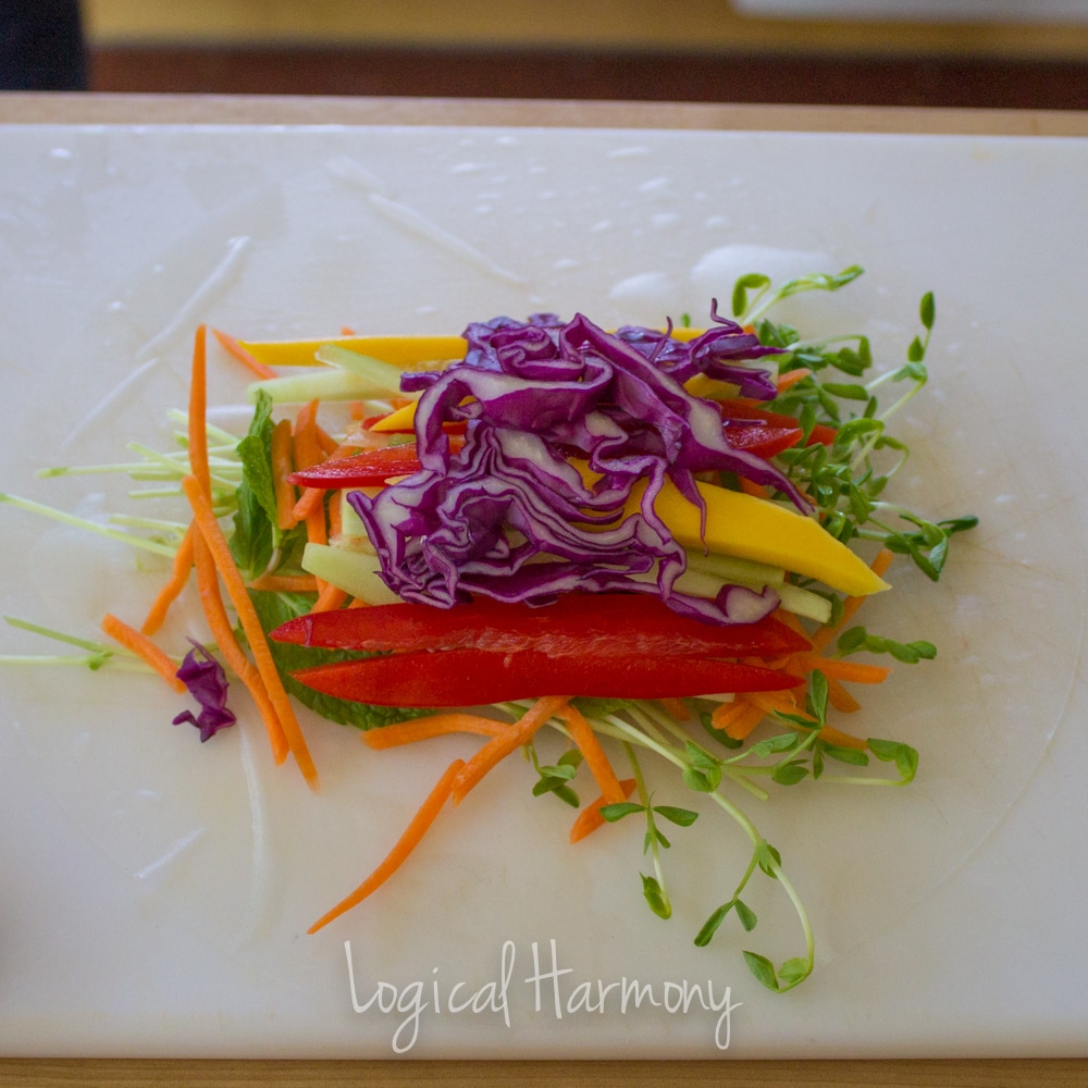 Fresh Spring Rolls with Peanut Sauce