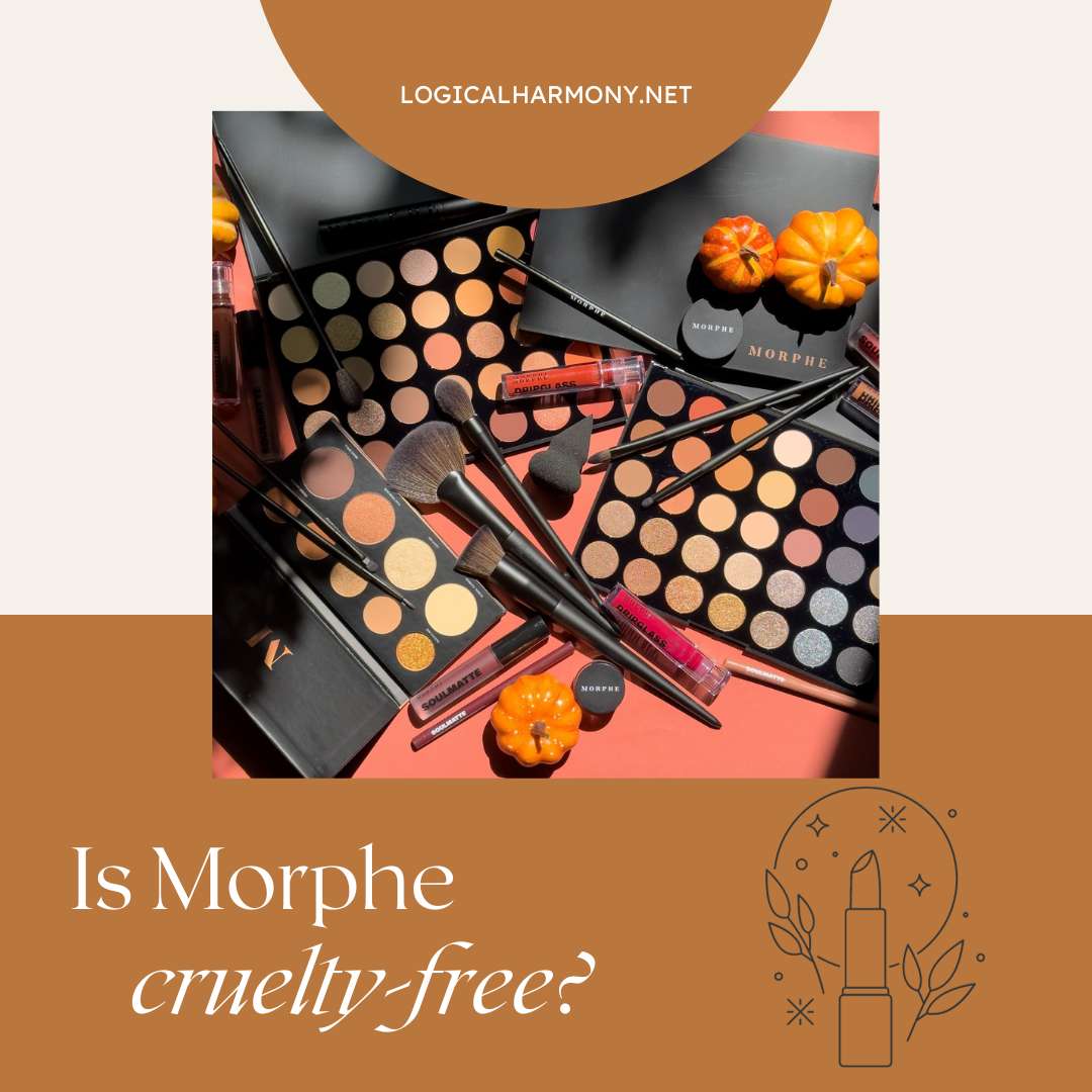 Is Morphe Cruelty-Free? Is Morphe Cruelty-Free?