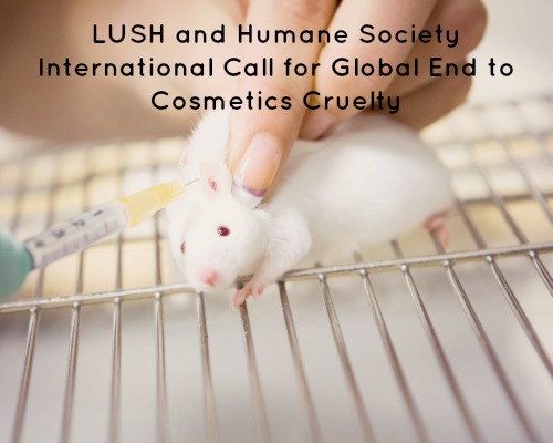 LUSH and Humane Society International Call for Global End to Cosmetics Cruelty