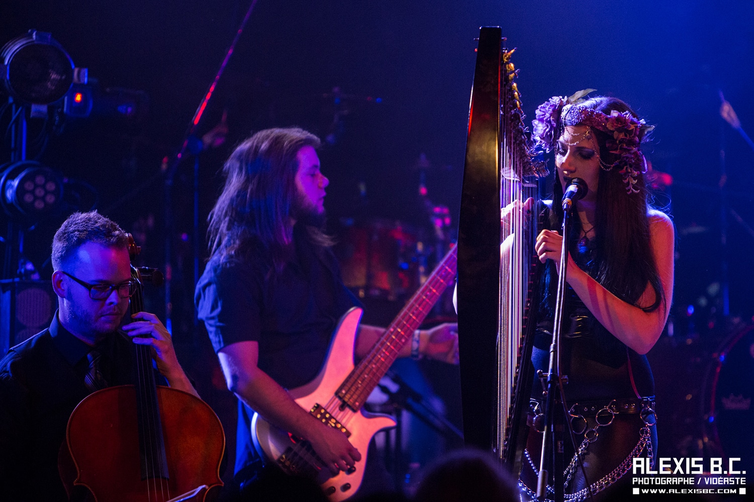 Image Courtesy of Lindsay Schoolcraft. Photo by Alexis BC.