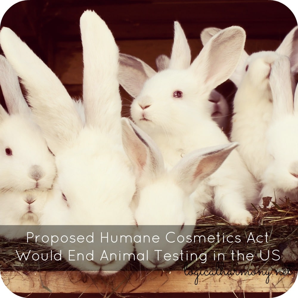 Proposed Humane Cosmetics Act Would End Animal Testing in the US