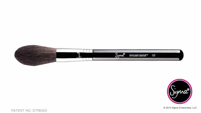 Sigma F37 Spotlight Duster