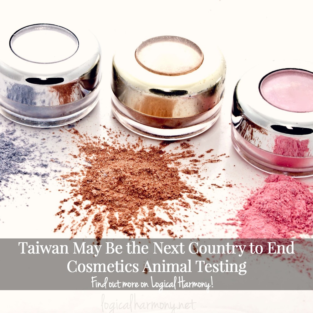 Taiwan May Be the Next Country to End Cosmetics Animal Testing